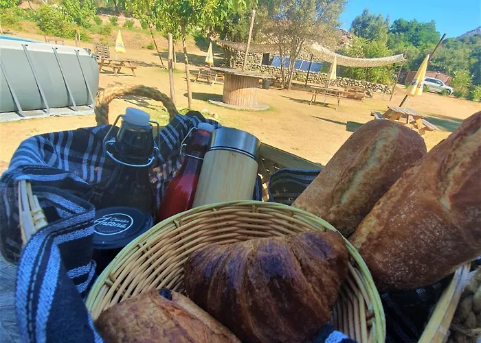 La De Mercone Melu 科尔特